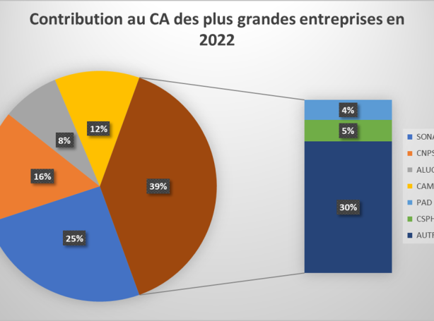 Contribution au CA des plus grandes entreprises en 2022